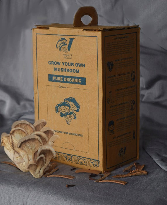 Grow Your Own Mushroom kit by Vego.fit