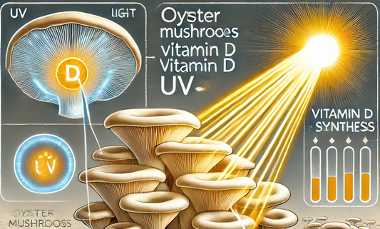 What is in the Capsule of Vego.fit Vitamin D with Ashwagandha.